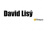 Logo David Lisý
