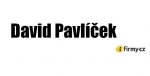 Logo DAVID PAVLÍČEK