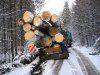 Náhled fotografie u nabídky Přeprava dřeva - Ivo Mihal